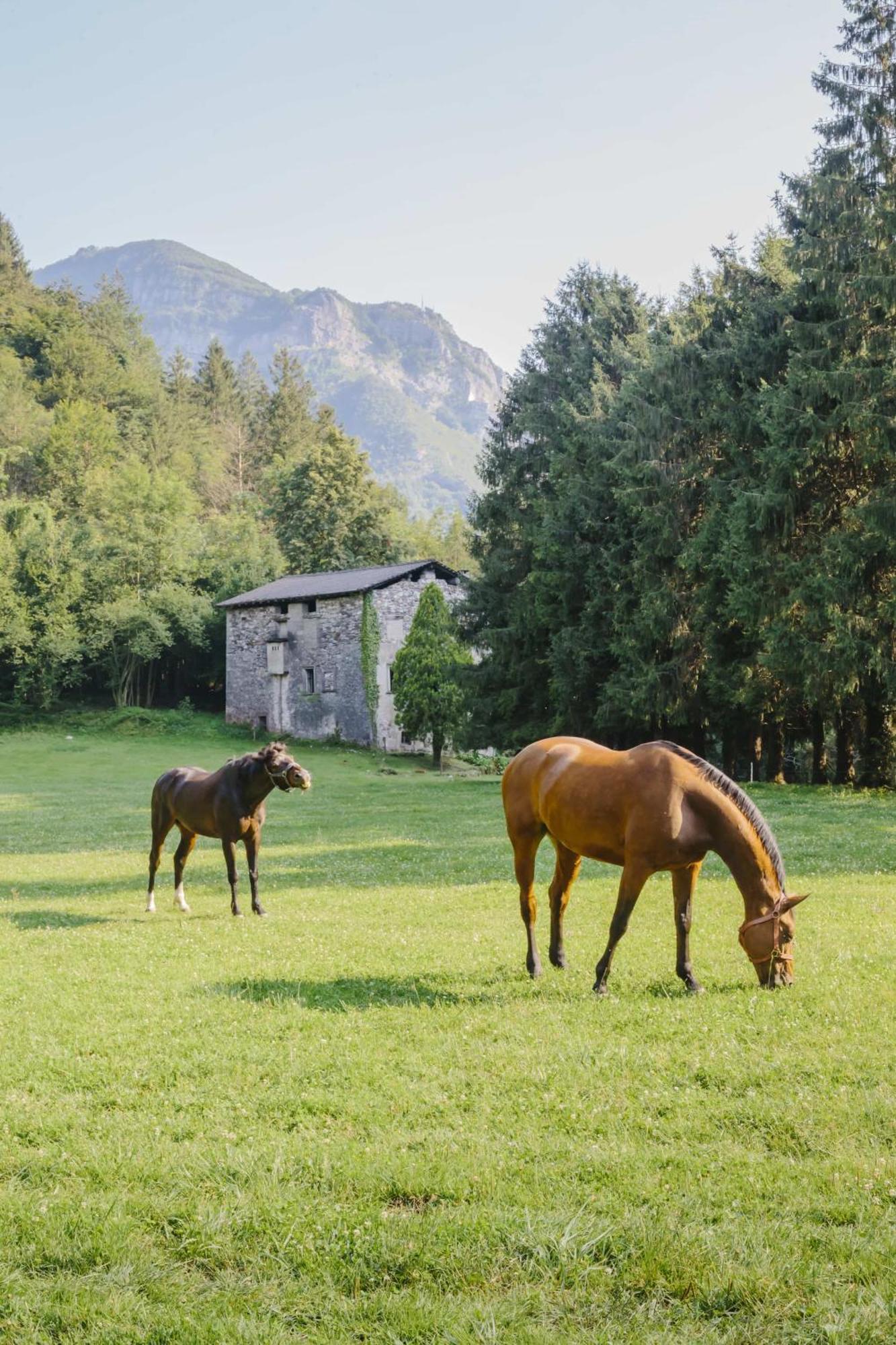 Вилла Agriturismo Ferdy Lenna Экстерьер фото