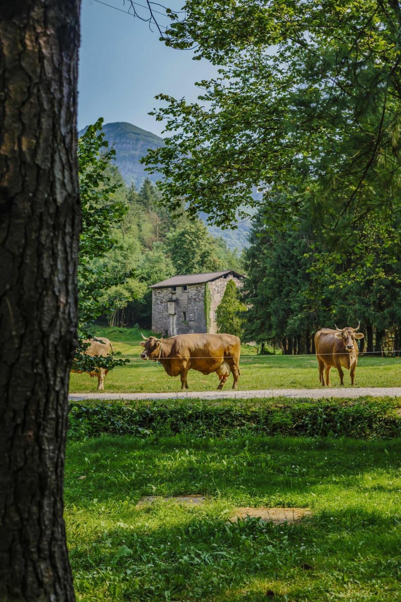 Вилла Agriturismo Ferdy Lenna Экстерьер фото